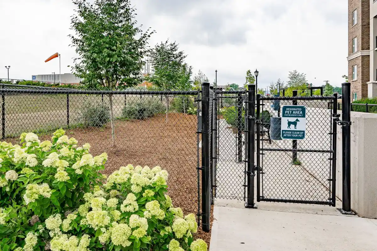 Pet Area